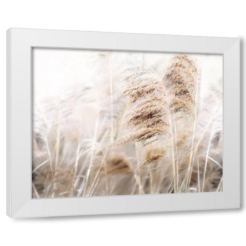 Soft Pampas White Modern Wood Framed Art Print by Weisz, Irene