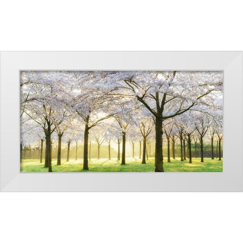 Bridal Trees White Modern Wood Framed Art Print by Van de Goor, Lars
