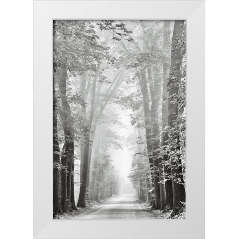 Cheer Up White Modern Wood Framed Art Print by Van de Goor, Lars