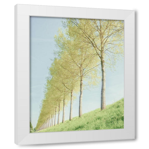 Endless White Modern Wood Framed Art Print by Van de Goor, Lars