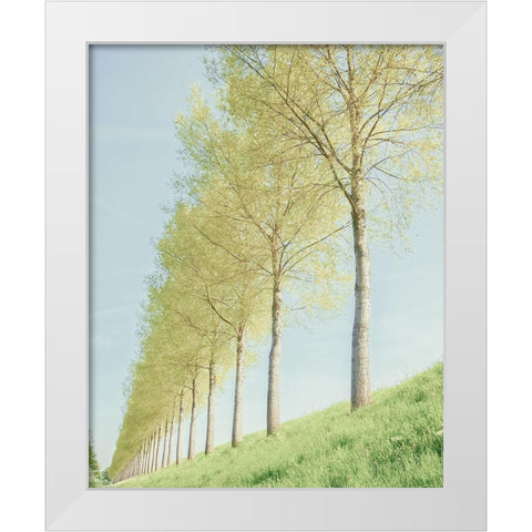 Endless White Modern Wood Framed Art Print by Van de Goor, Lars