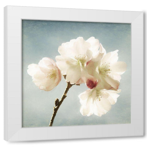 Happy Spring White Modern Wood Framed Art Print by Van de Goor, Lars