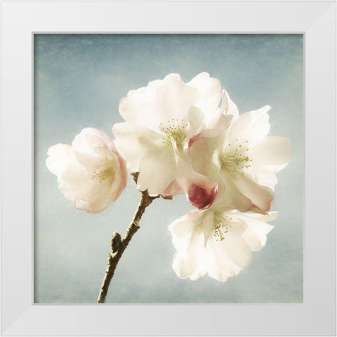 Happy Spring White Modern Wood Framed Art Print by Van de Goor, Lars