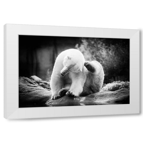 Scratching White Modern Wood Framed Art Print by Van de Goor, Lars