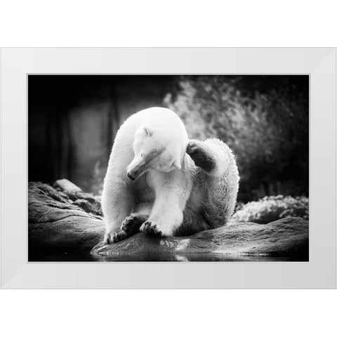 Scratching White Modern Wood Framed Art Print by Van de Goor, Lars