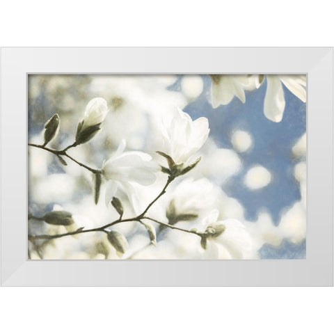Unfolding Beauty White Modern Wood Framed Art Print by Van de Goor, Lars