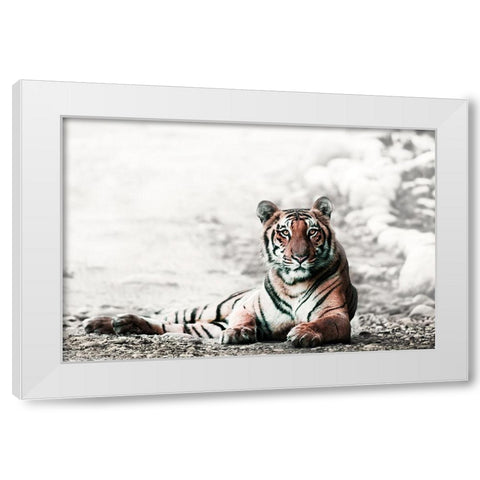 Jungle Bengal White Modern Wood Framed Art Print by Rajput, Jagdeep