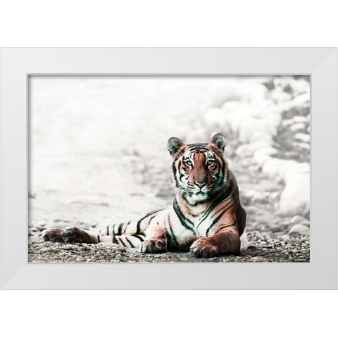 Jungle Bengal White Modern Wood Framed Art Print by Rajput, Jagdeep