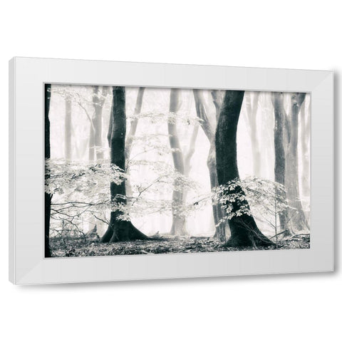 Silence of the Forest White Modern Wood Framed Art Print by Van de Goor, Lars