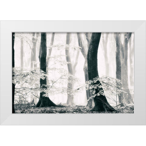 Silence of the Forest White Modern Wood Framed Art Print by Van de Goor, Lars