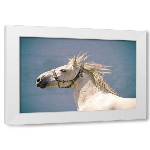 Scratch White Modern Wood Framed Art Print by Van de Goor, Lars