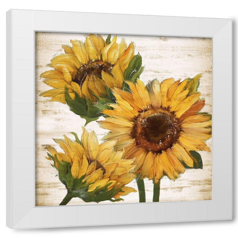 Sunflower Summer I White Modern Wood Framed Art Print by Knutsen, Conrad