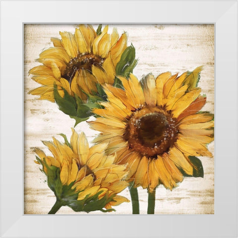 Sunflower Summer I White Modern Wood Framed Art Print by Knutsen, Conrad