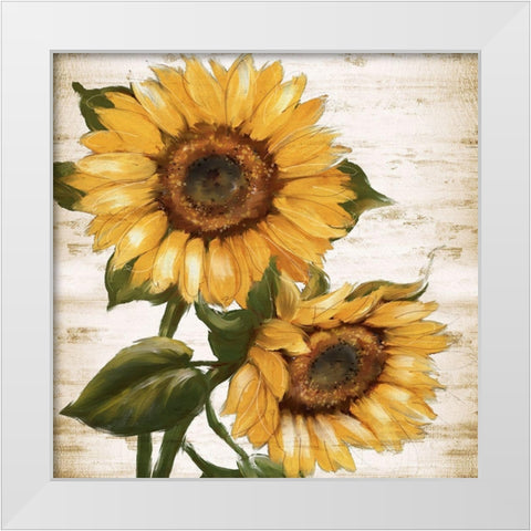 Sunflower Summer II White Modern Wood Framed Art Print by Knutsen, Conrad