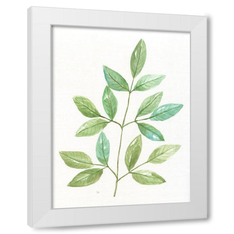 Spring Greens III White Modern Wood Framed Art Print by Nan