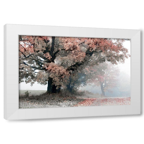 Magical Middle Earth White Modern Wood Framed Art Print by Sutton, William