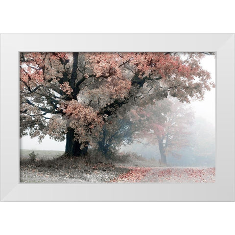 Magical Middle Earth White Modern Wood Framed Art Print by Sutton, William
