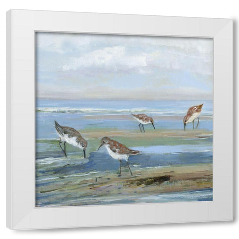 Seabird Beach III White Modern Wood Framed Art Print by Swatland, Sally