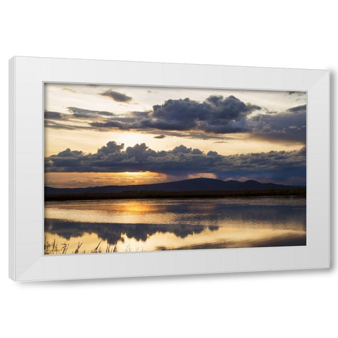 Twilight Symphony White Modern Wood Framed Art Print by Delimont, Danita