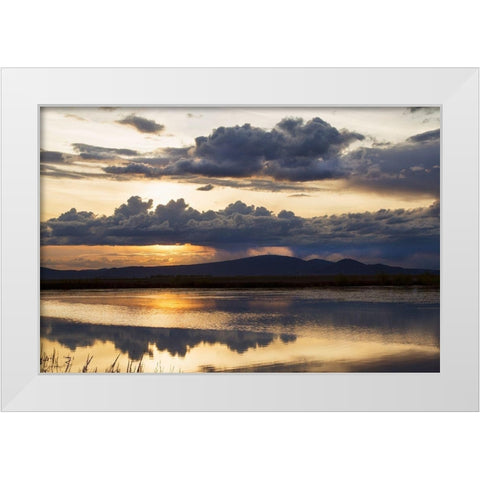 Twilight Symphony White Modern Wood Framed Art Print by Delimont, Danita