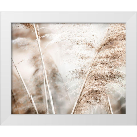 Soft Pampas Breeze White Modern Wood Framed Art Print by Weisz, Irene