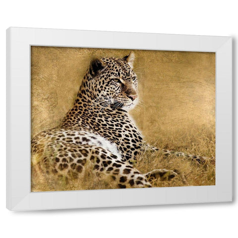 Tall Grass Gold White Modern Wood Framed Art Print by Soulders, Paul