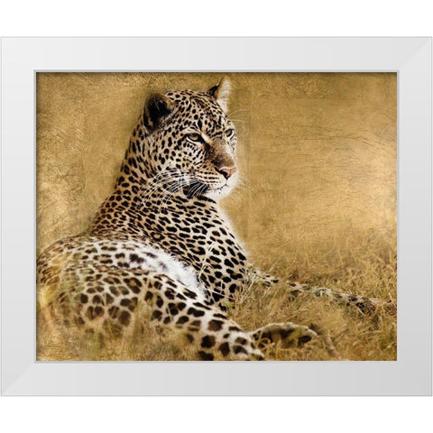 Tall Grass Gold White Modern Wood Framed Art Print by Soulders, Paul