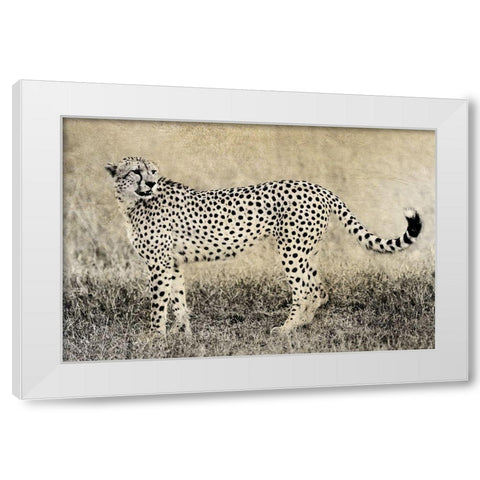 Camouflage White Modern Wood Framed Art Print by Jaynes, William D.