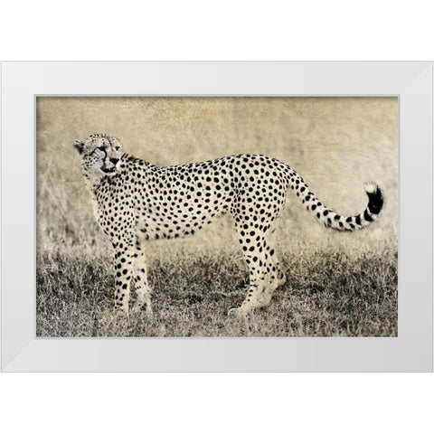 Camouflage White Modern Wood Framed Art Print by Jaynes, William D.