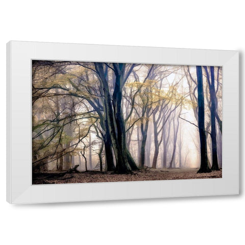 Fall Softly White Modern Wood Framed Art Print by Van de Goor, Lars