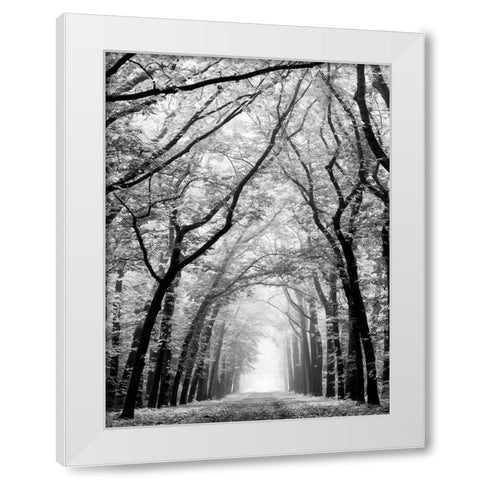 Cathedral Forest White Modern Wood Framed Art Print by Van de Goor, Lars