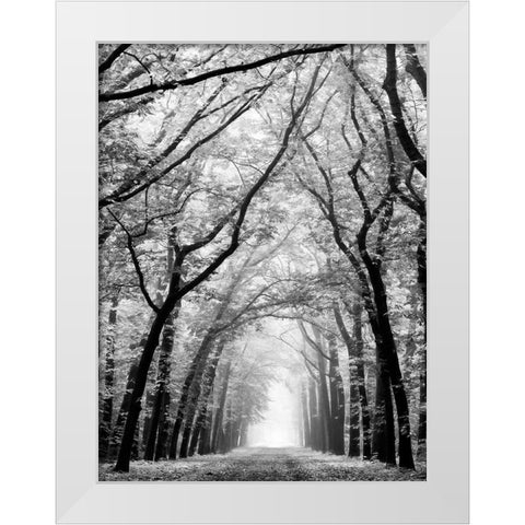 Cathedral Forest White Modern Wood Framed Art Print by Van de Goor, Lars