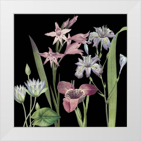 Dusty Plum Botanical II White Modern Wood Framed Art Print by Jill, Susan