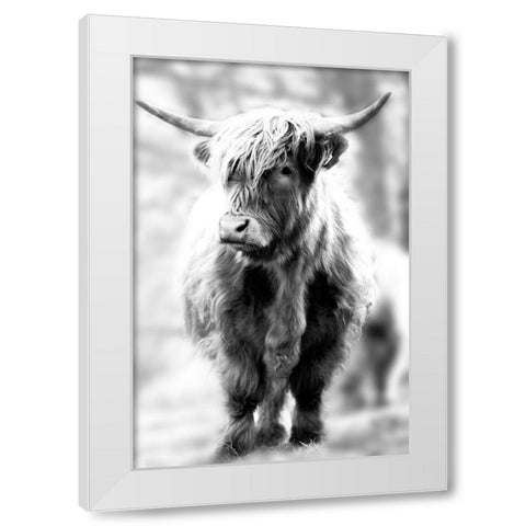 Yorkshire White Modern Wood Framed Art Print by Sturdevant, Jay