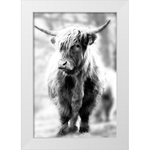 Yorkshire White Modern Wood Framed Art Print by Sturdevant, Jay