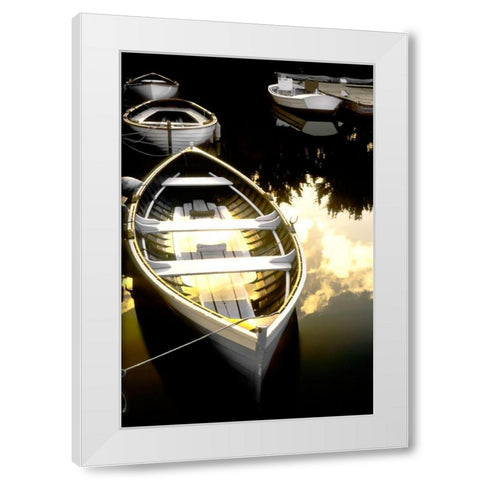 Morning Ready White Modern Wood Framed Art Print by Delimont, Danita