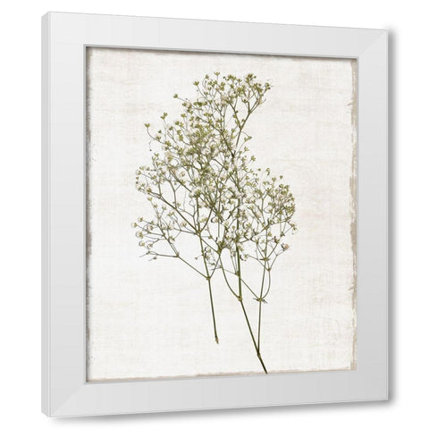 Farmhouse Pressed Flower I White Modern Wood Framed Art Print by Carpentieri, Natalie