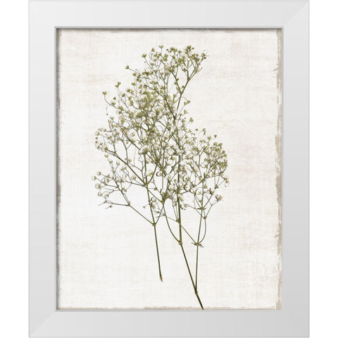 Farmhouse Pressed Flower I White Modern Wood Framed Art Print by Carpentieri, Natalie