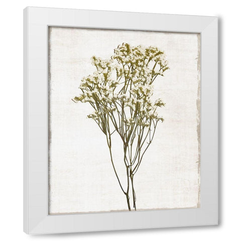 Farmhouse Pressed Flower II White Modern Wood Framed Art Print by Carpentieri, Natalie