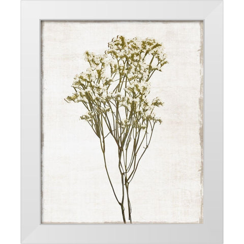 Farmhouse Pressed Flower II White Modern Wood Framed Art Print by Carpentieri, Natalie