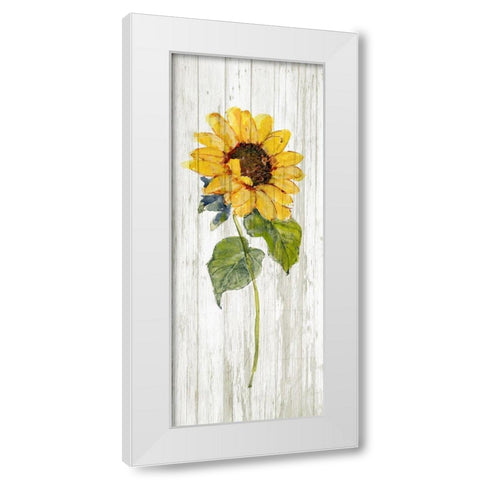 Sunflower in Autumn I White Modern Wood Framed Art Print by Swatland, Sally