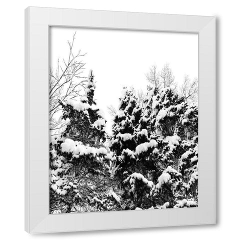 Wintery Dreams I White Modern Wood Framed Art Print by Carpentieri, Natalie
