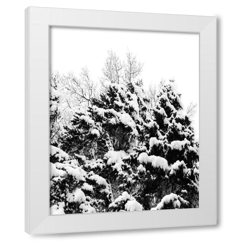 Wintery Dreams II White Modern Wood Framed Art Print by Carpentieri, Natalie