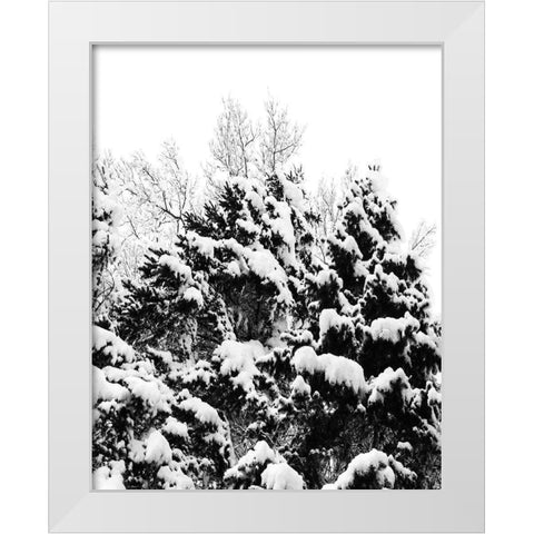 Wintery Dreams II White Modern Wood Framed Art Print by Carpentieri, Natalie