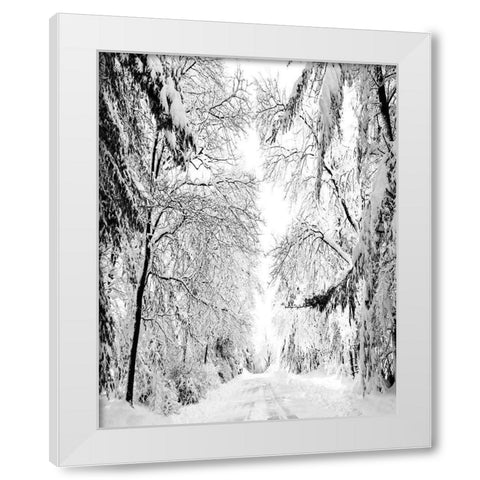 Wintery Dreams Path White Modern Wood Framed Art Print by Carpentieri, Natalie