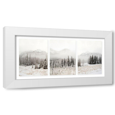 Snowbound White Modern Wood Framed Art Print by Delimont, Danita