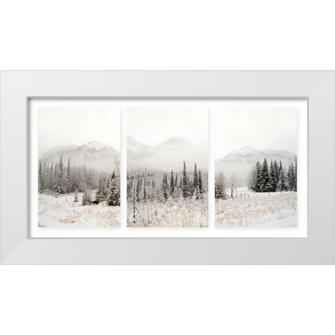 Snowbound White Modern Wood Framed Art Print by Delimont, Danita