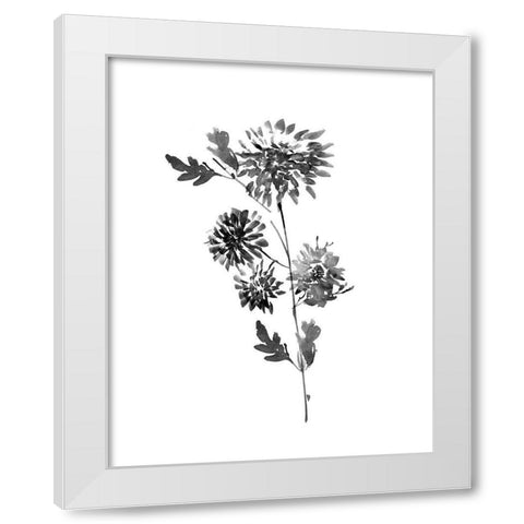 Neutral Washed Botanical II White Modern Wood Framed Art Print by Knutsen, Conrad