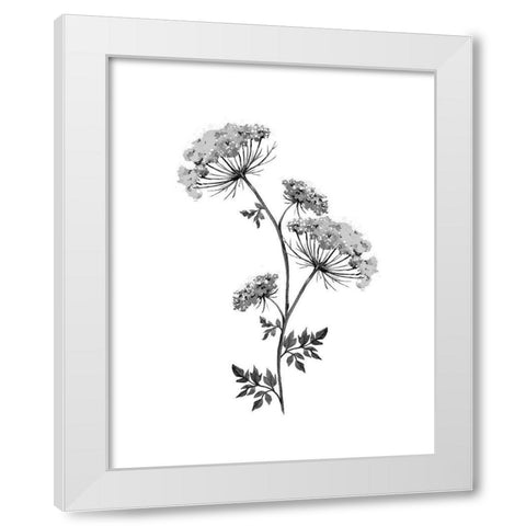 Neutral Washed Botanical III White Modern Wood Framed Art Print by Knutsen, Conrad