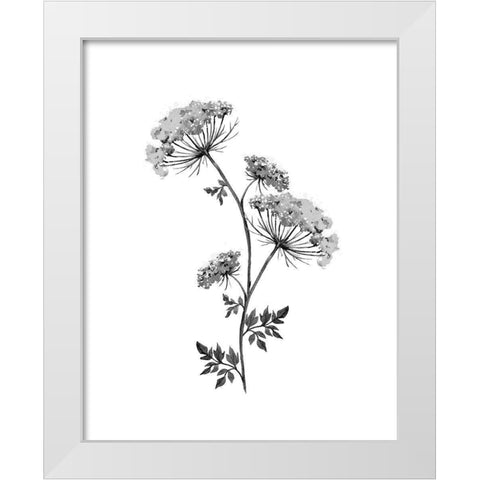 Neutral Washed Botanical III White Modern Wood Framed Art Print by Knutsen, Conrad